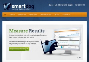 Online Marketing Consultancy Smartdog digital