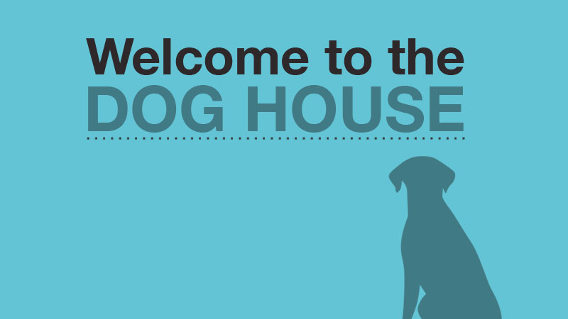 Welcome to the dog house