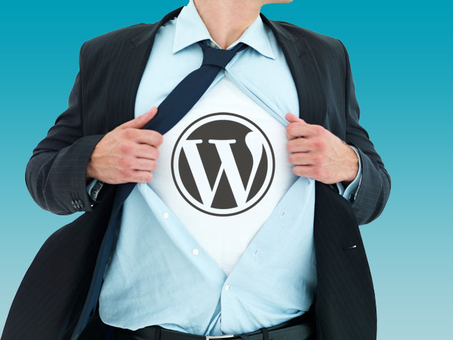 WordPress for Business 